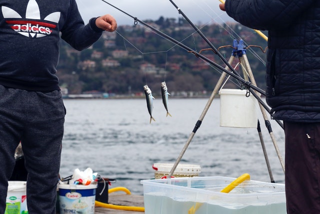 Bisnis Kolam Pemancingan, Sarana Rekreasi yang Unik ￼