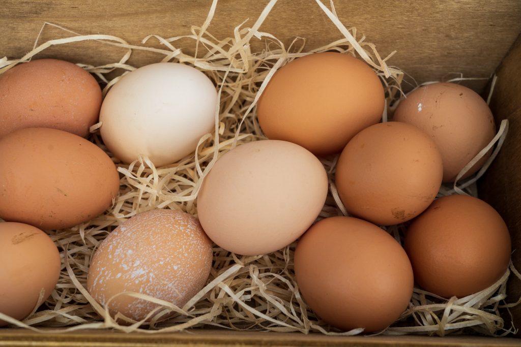 update harga telur hari ini